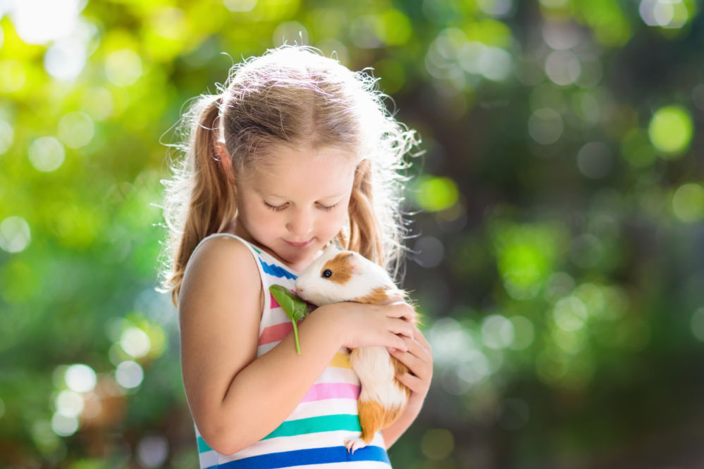 A girl cuddling a guinea pig