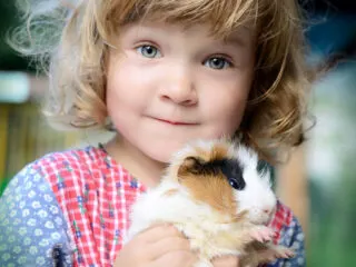 A cute girl holding a guiena pig.