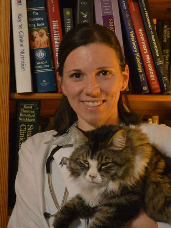 Chyrle Bonk veterinarian and expert at Small Pet Guides
